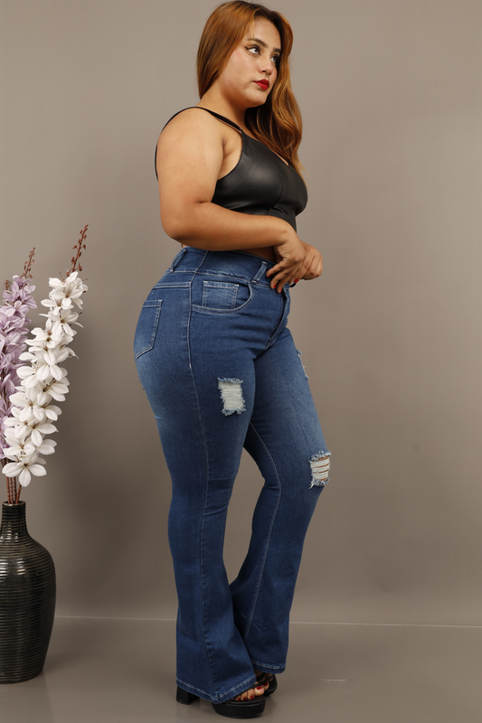 Jeans Flare Britanie Cristal